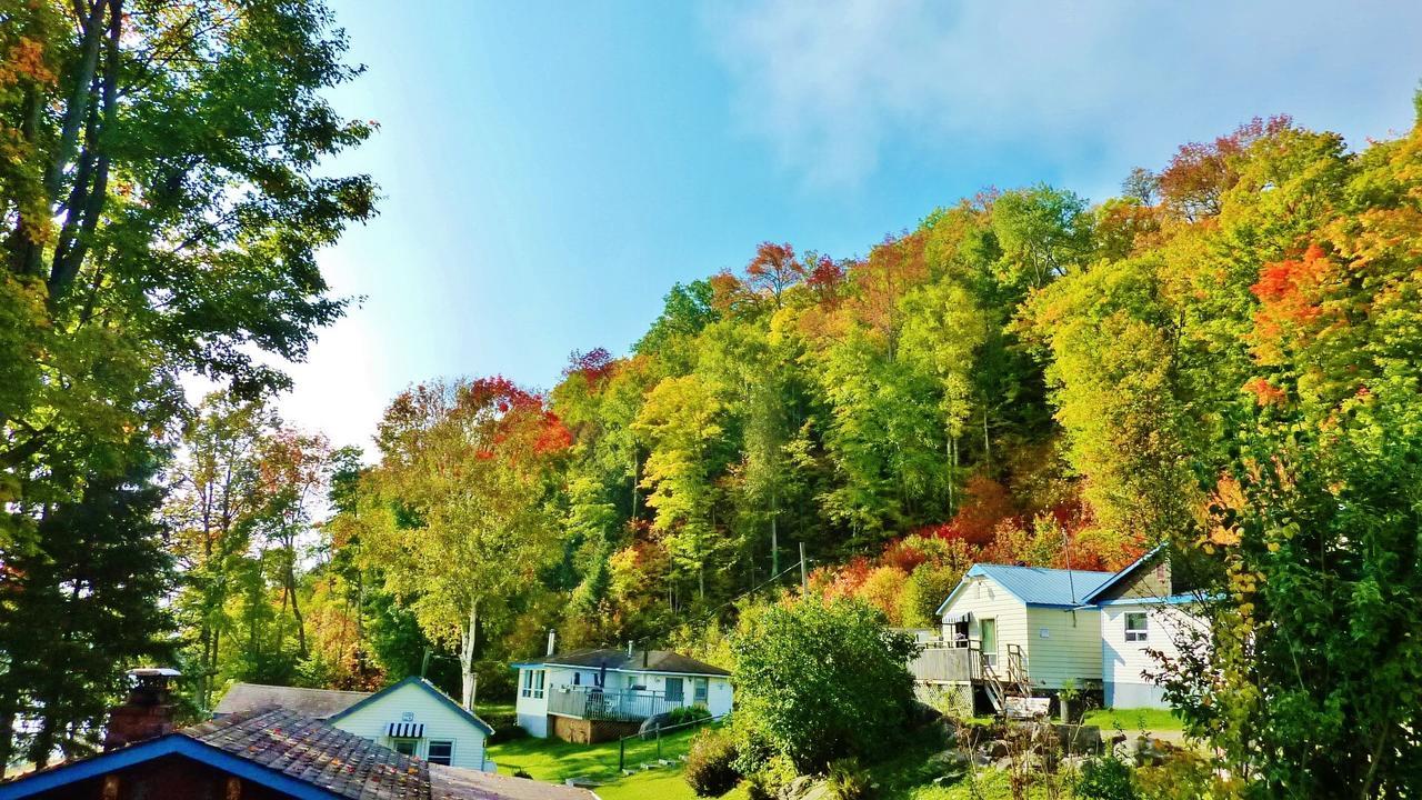 Silver Springs Cottage Resort Harcourt Zewnętrze zdjęcie